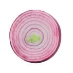 Almohadón Circular Tronco Naranja Sandia Limón - Imagen 3