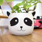 Maceta de ceramica mapache feliz