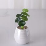 Maceta nacar de ceramica
