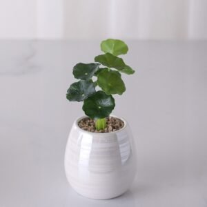 Maceta nacar de ceramica