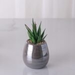 Maceta nacar de ceramica - Imagen 2