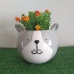 Maceta de ceramica redonda oso gris - Imagen 4