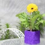 Maceta cubo recorcholis eco sustentable