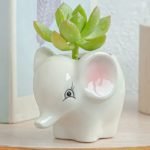 Maceta de ceramica elefante yuno - Imagen 3