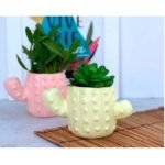 Maceta Cerámica forma cactus