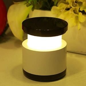 Lampara calida y fria luz recargable decoracion