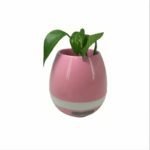 Reproductor parlante maceta - Imagen 4