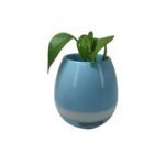 Reproductor parlante maceta - Imagen 2