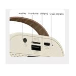 Parlante karaoke con 2 microfonos inalambricos recargable Bluetooth led - Imagen 6